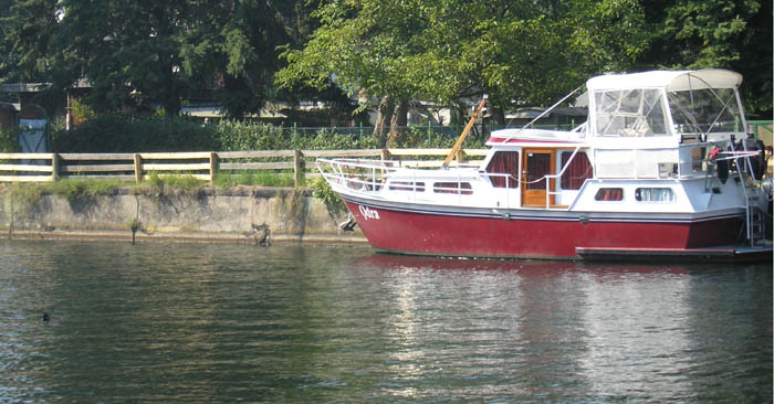 Machbarkeitsstudie Insel am Tegeler Fließ